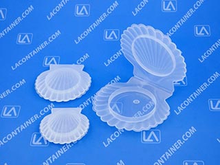 Shellcons Sea Shell Shaped Plastic Containers